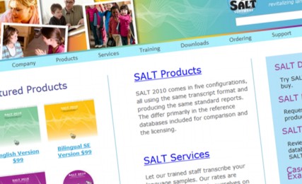 Salt Software